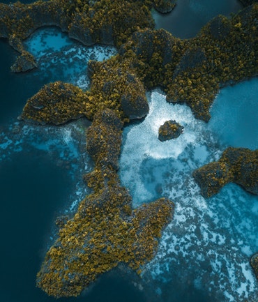 Demo Image